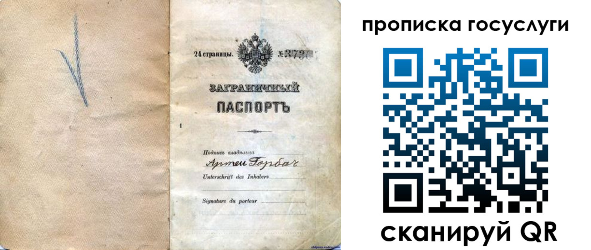 прописка законно в Светогорске